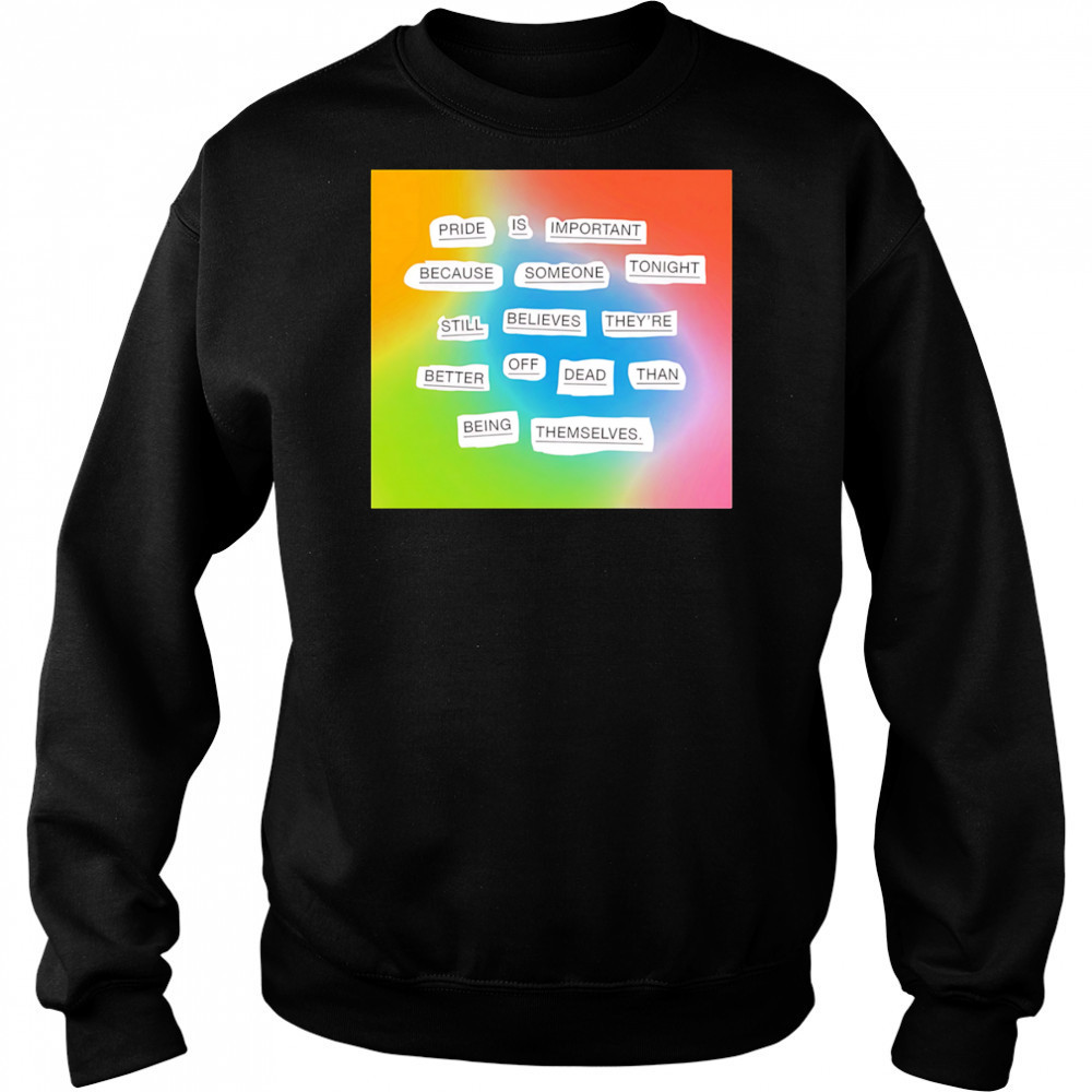 Importance of pride shirt Hoodie