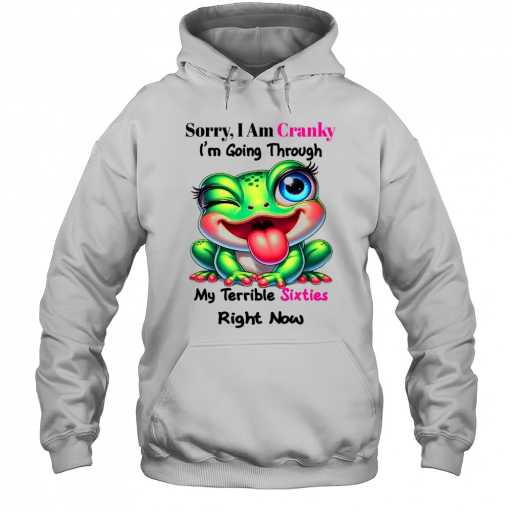 Frog sorry I am cranky I’m going through my terrible shirt Hoodie