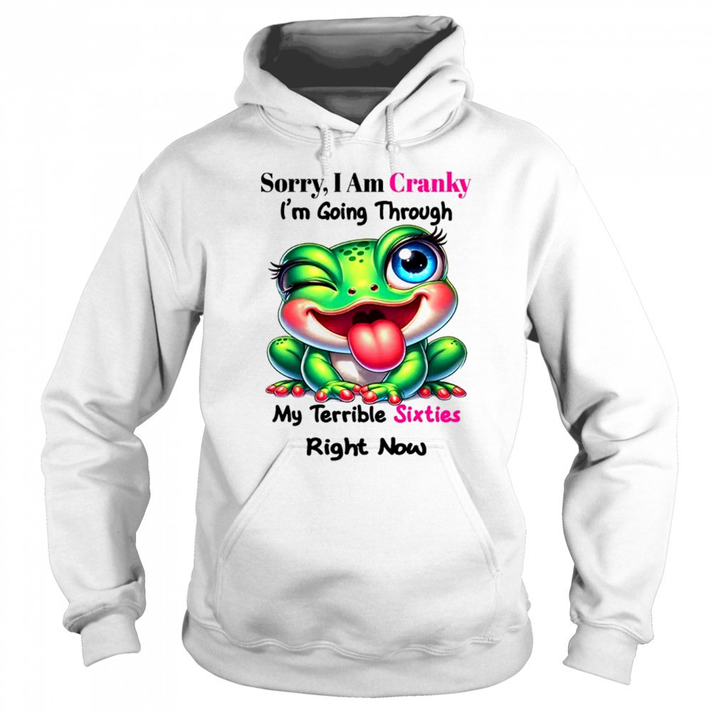 Frog sorry I am cranky I’m going through my terrible shirt Sweatshirt
