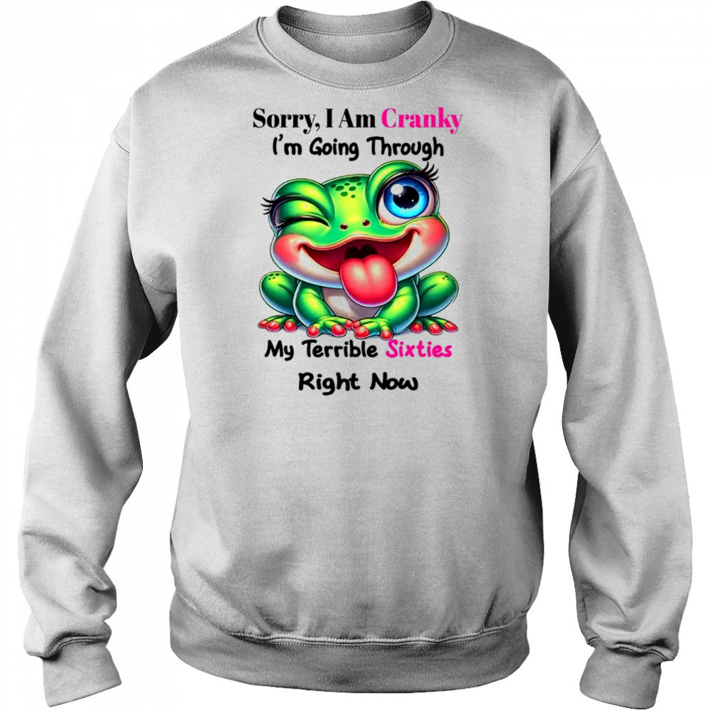 Frog sorry I am cranky I’m going through my terrible shirt Hoodie