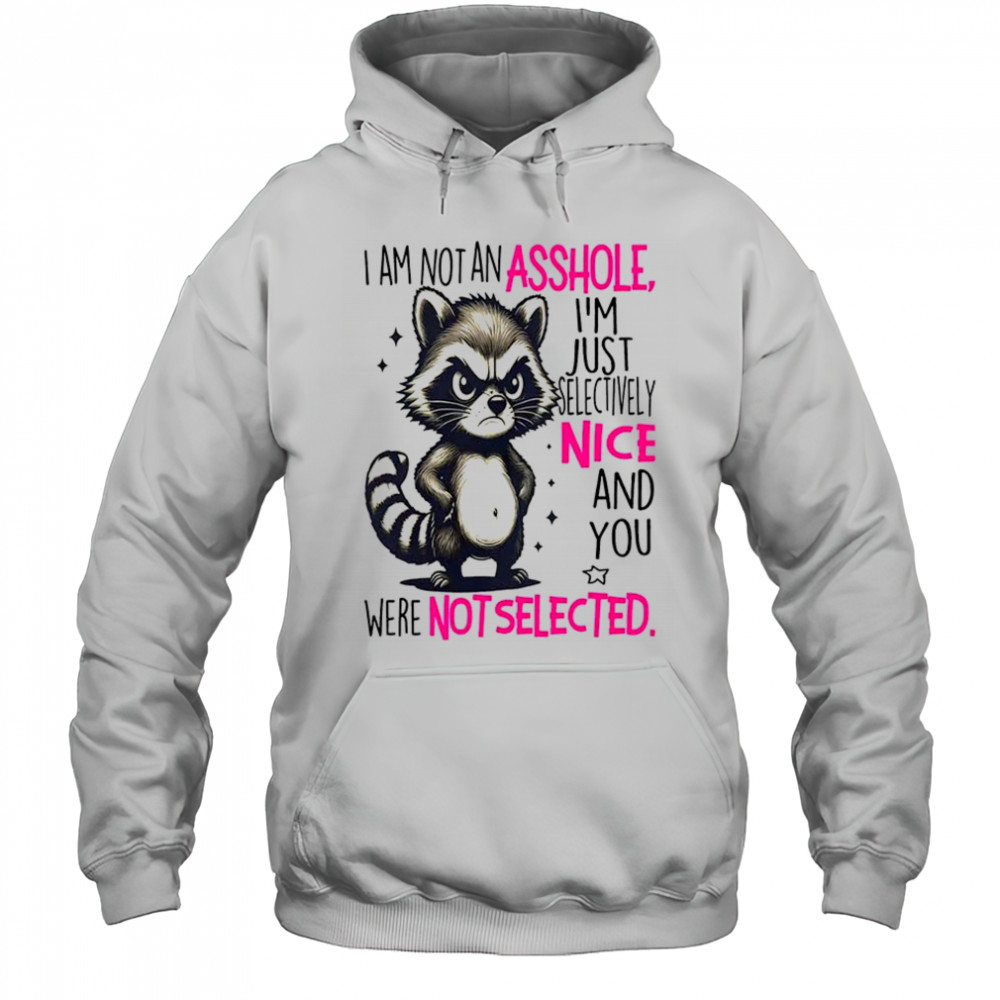 Raccoon I am not an asshole I’m just selectively nice and you were not selected shirt Hoodie