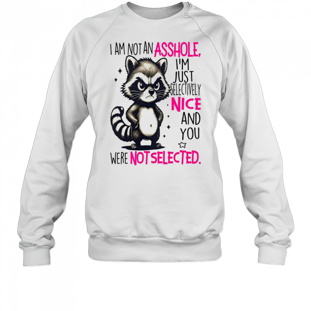 Raccoon I am not an asshole I’m just selectively nice and you were not selected shirt Sweatshirt