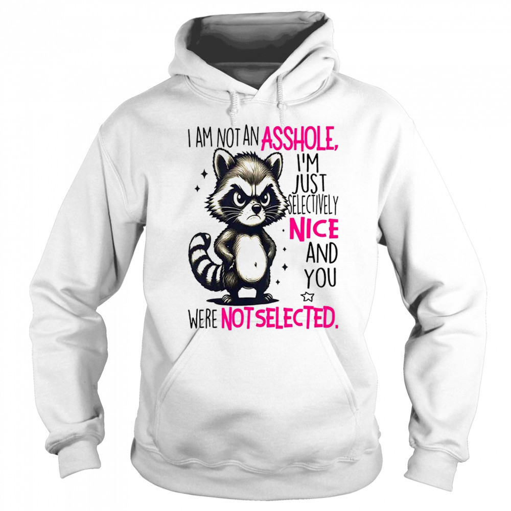Raccoon I am not an asshole I’m just selectively nice and you were not selected shirt Sweatshirt