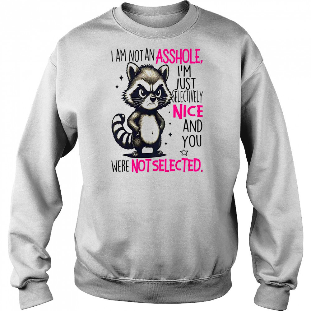 Raccoon I am not an asshole I’m just selectively nice and you were not selected shirt Hoodie