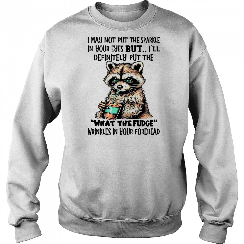 Raccoon I may not put the sparkle in your eyes shirt Hoodie