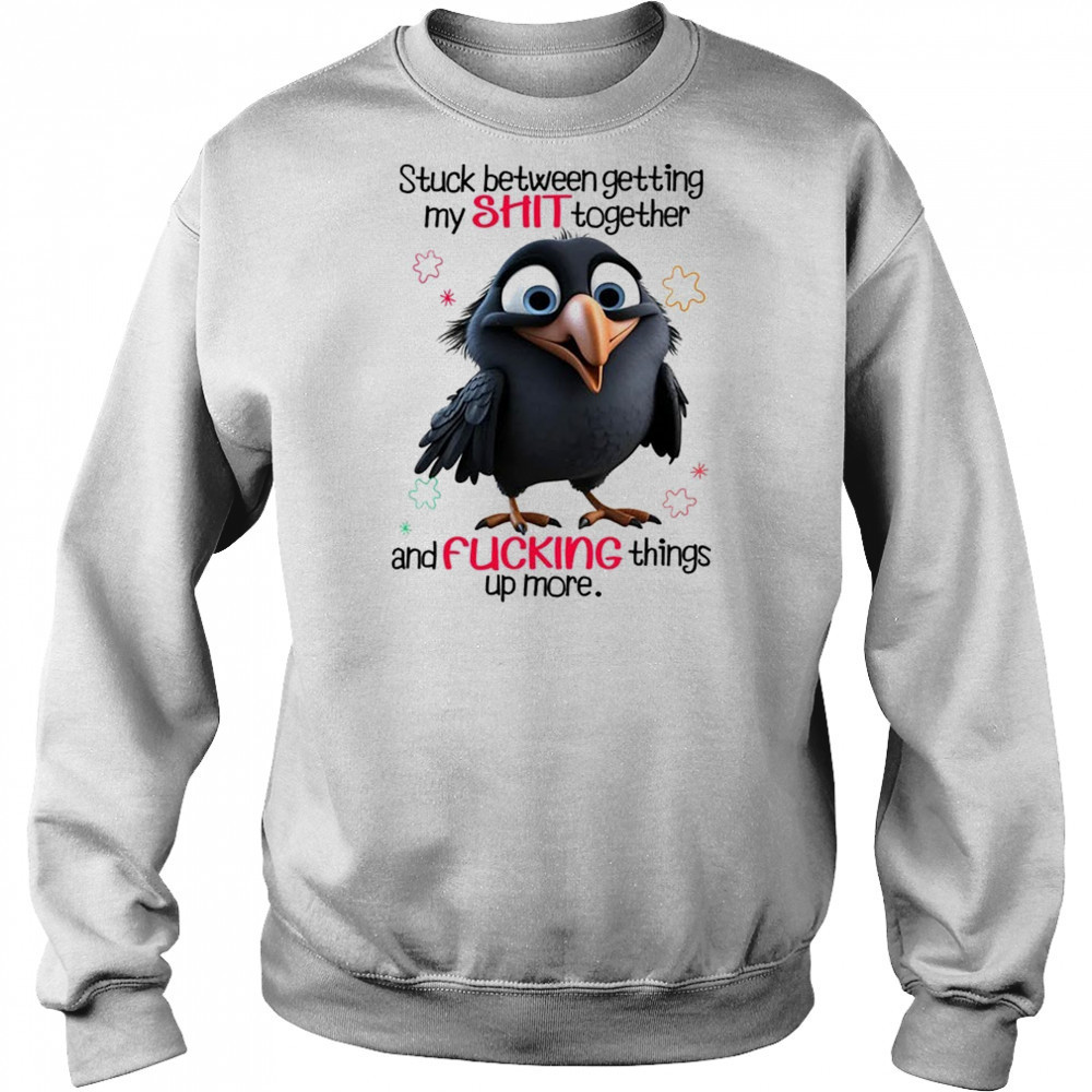 Raven stuck between getting my shit together and fucking things up more shirt Hoodie