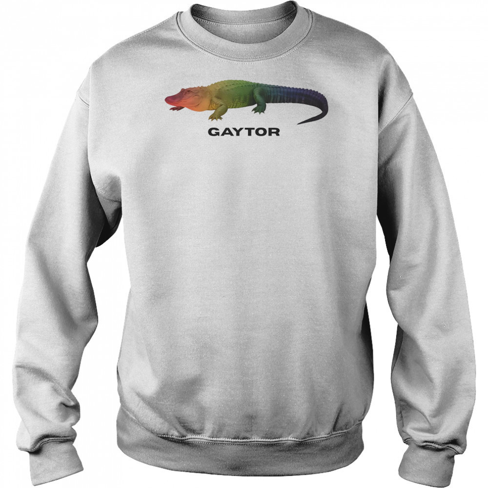 Gaytor LGBT shirt Hoodie
