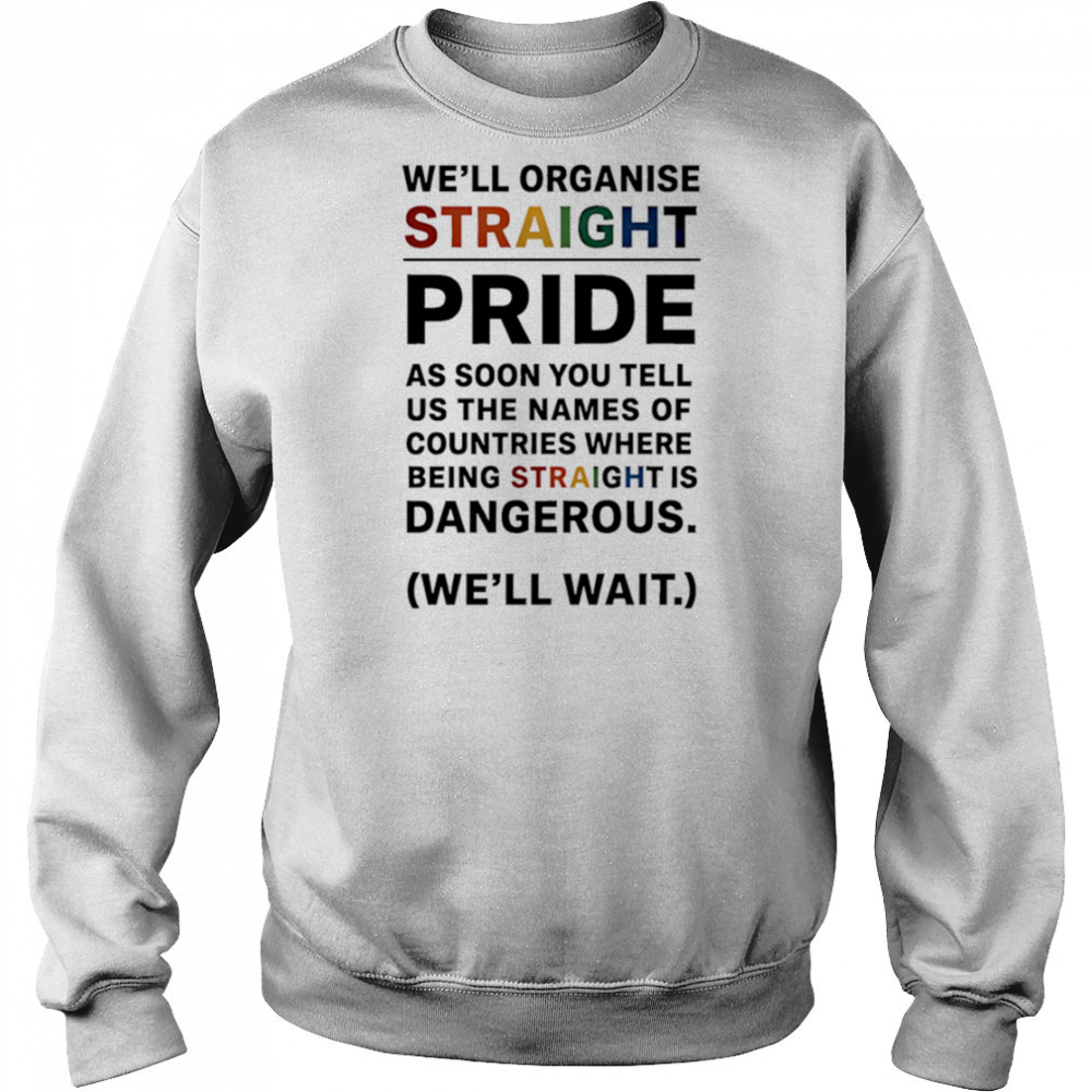 We’ll Organise Straight Pride shirt Hoodie