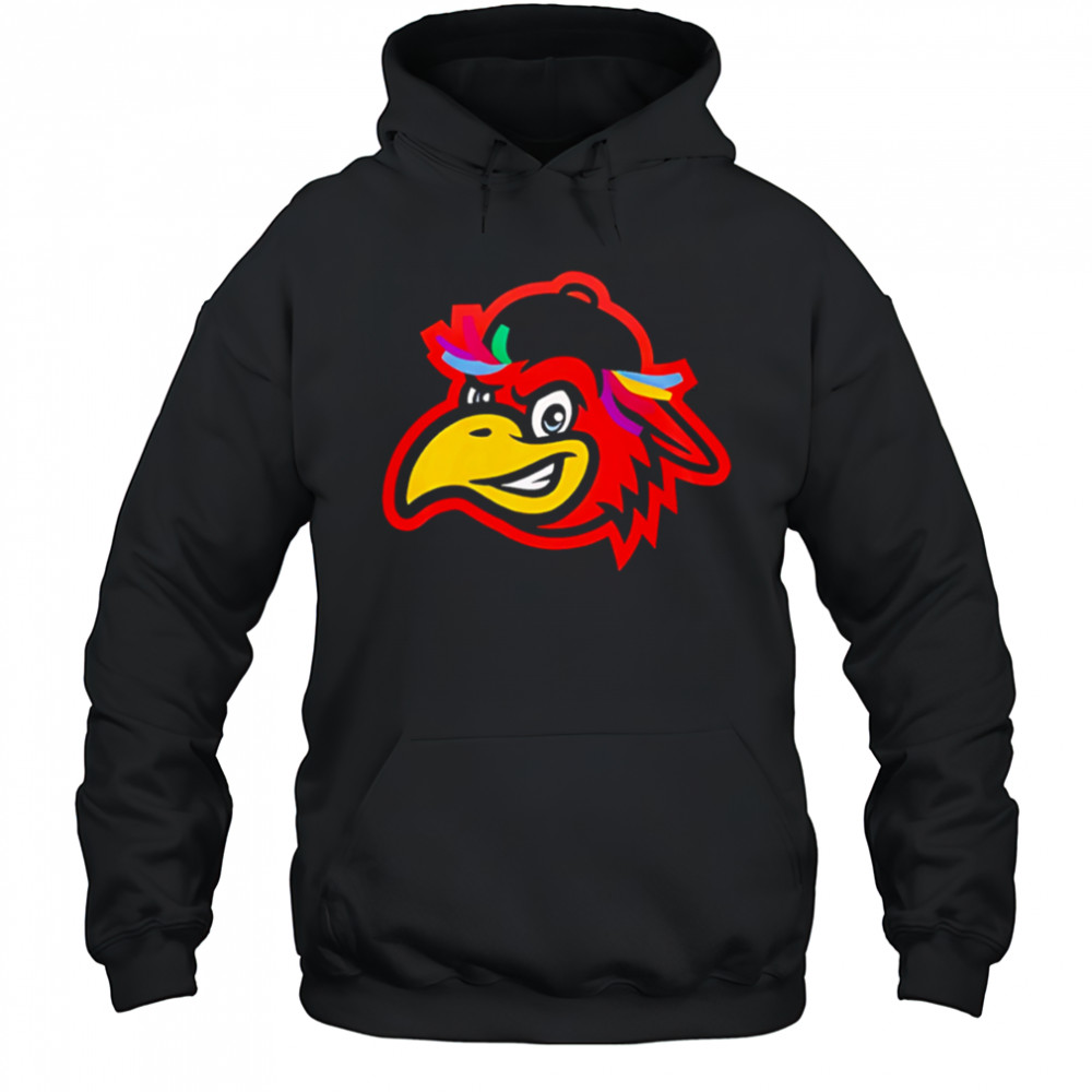 Delmarva Shorebirds x Spicer Bros 2025 Hockey shirt Hoodie