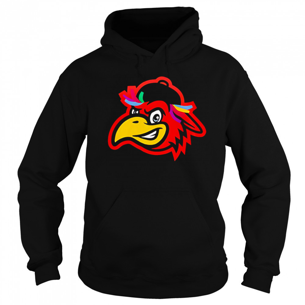Delmarva Shorebirds x Spicer Bros 2025 Hockey shirt Sweatshirt