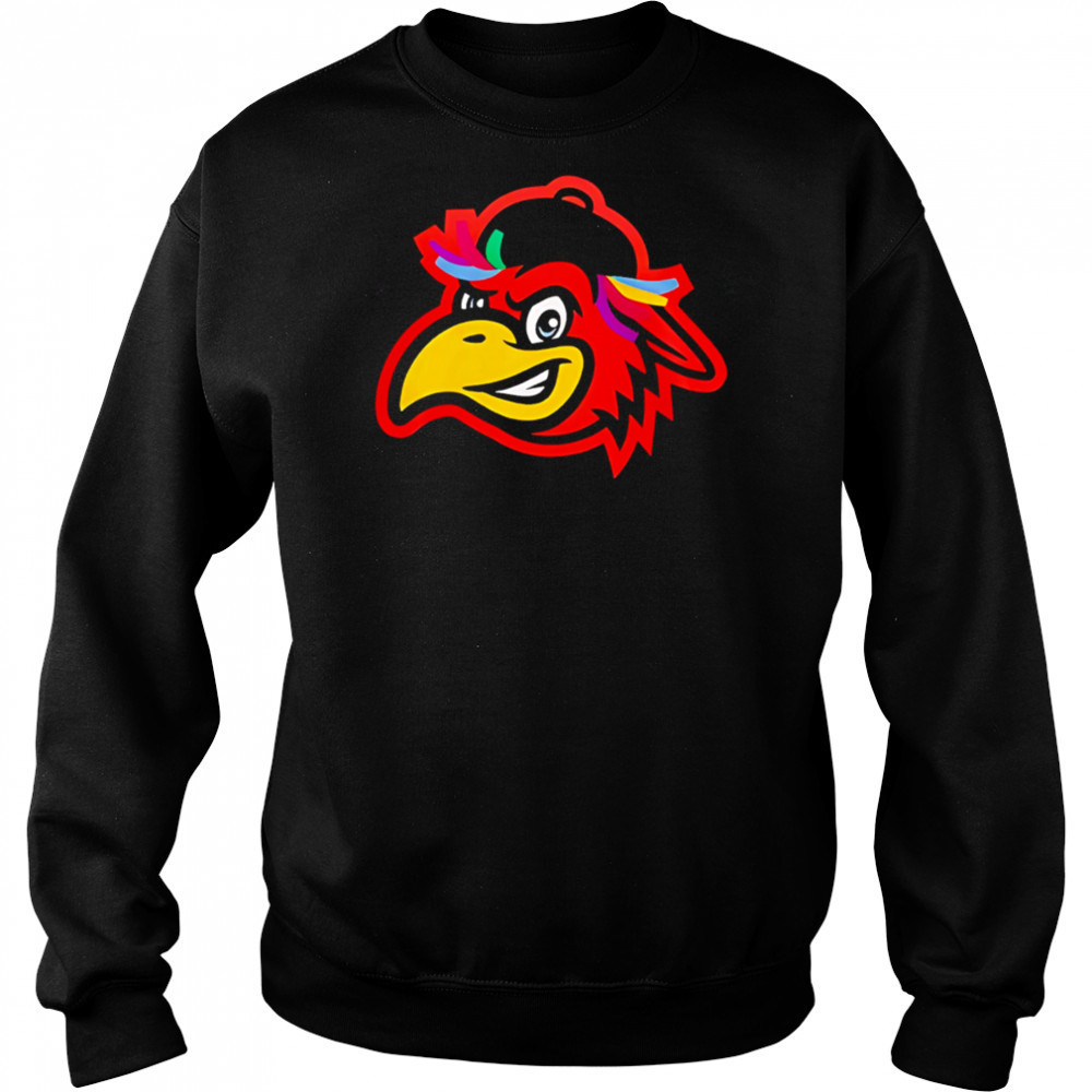 Delmarva Shorebirds x Spicer Bros 2025 Hockey shirt Hoodie