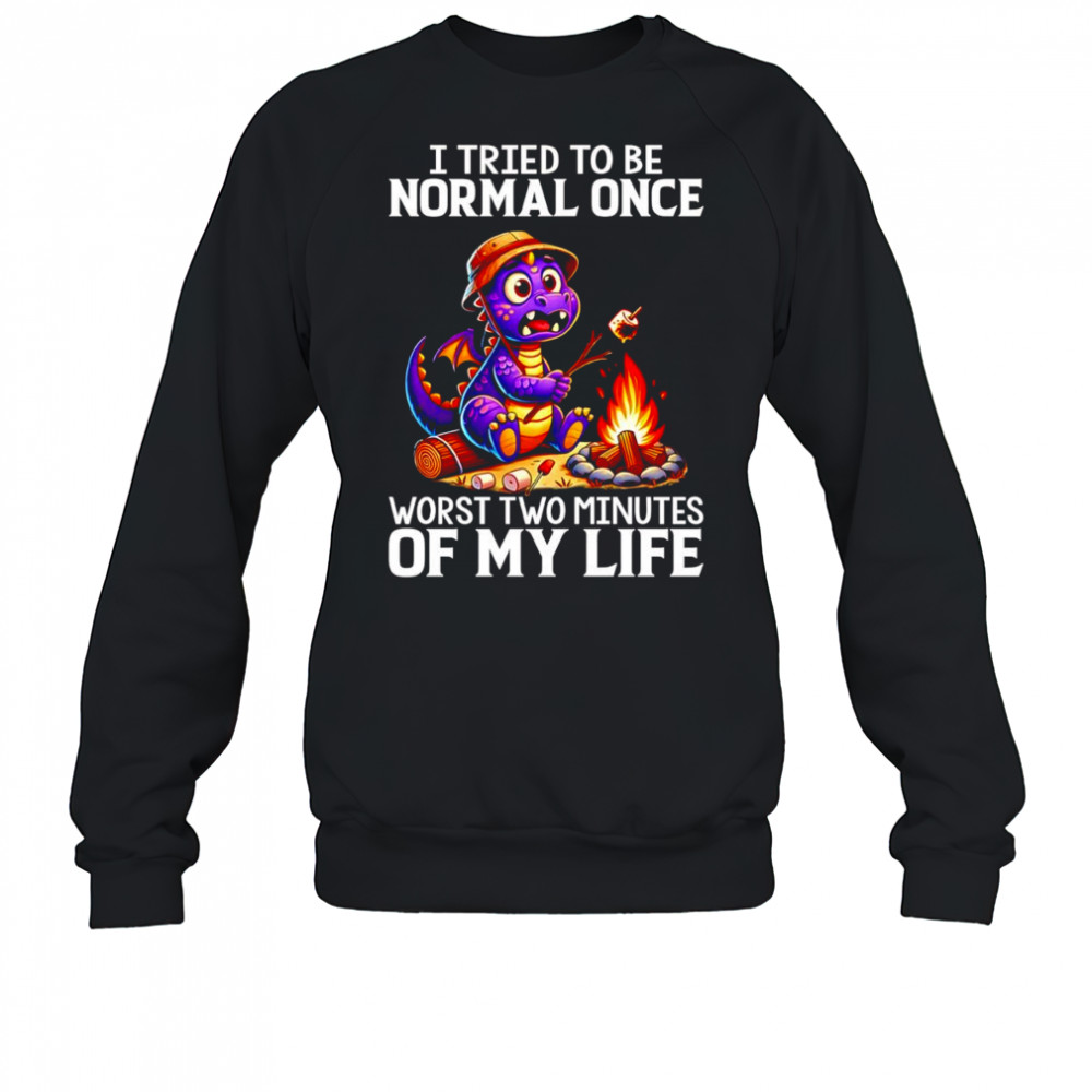 Dragon I tried to be normal once worst two minutes of my life shirt Sweatshirt