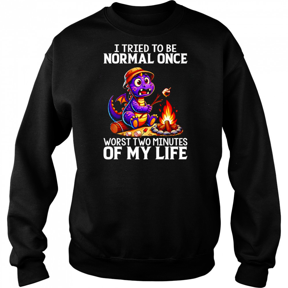 Dragon I tried to be normal once worst two minutes of my life shirt Hoodie