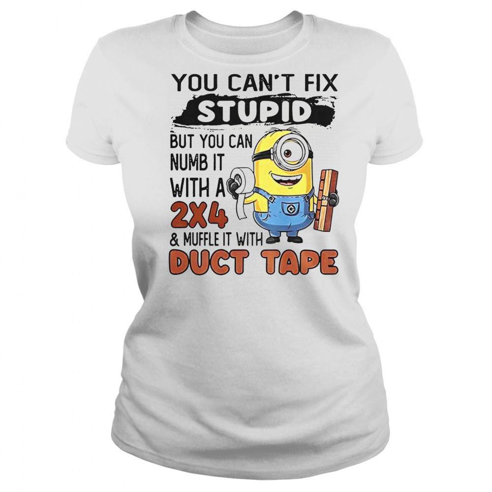 Minion You Can’t Fix Stupid But You Can Numb It With A 2×4 T-Shirt Women's T-shirt
