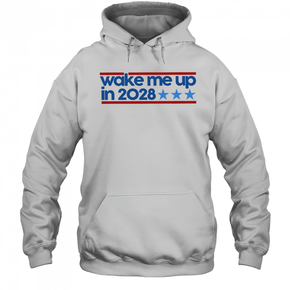 Wake me up in 2028 shirt Hoodie