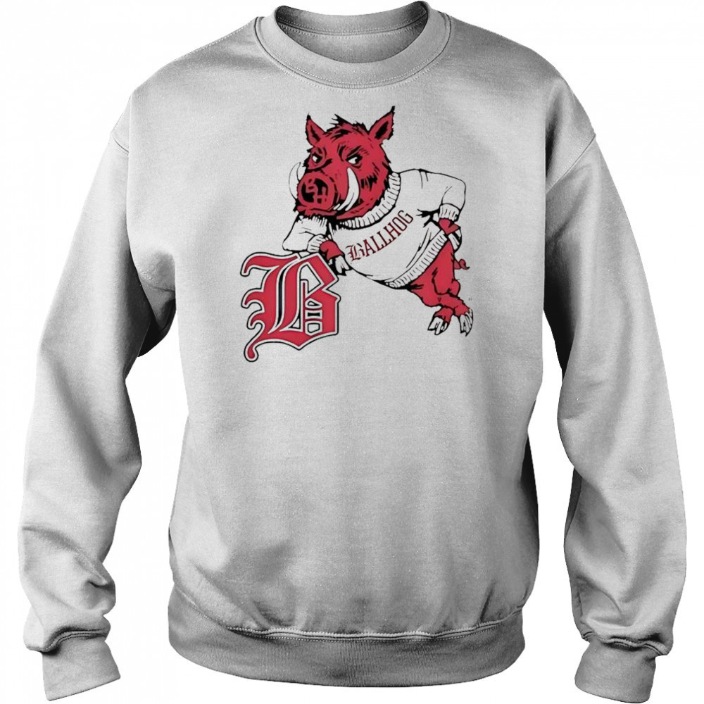 Ballhogshit Classroom T-Shirt Hoodie