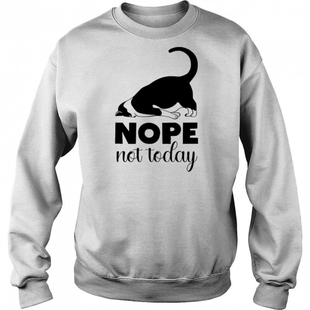 Cat nope not today shirt Hoodie