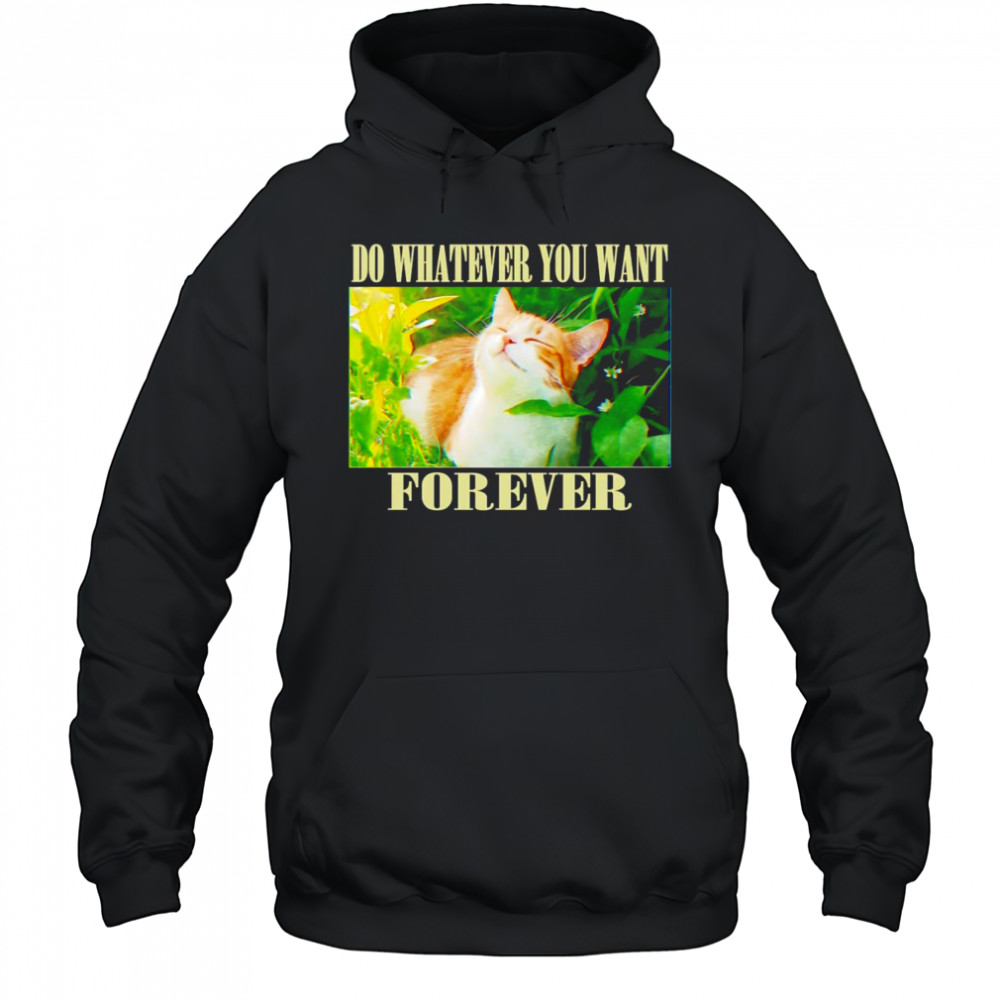 Do whatever you want forever cat shirt Hoodie