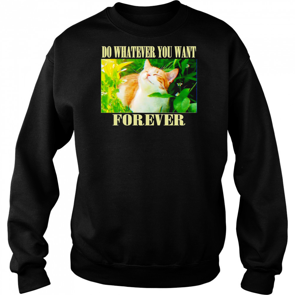 Do whatever you want forever cat shirt Hoodie