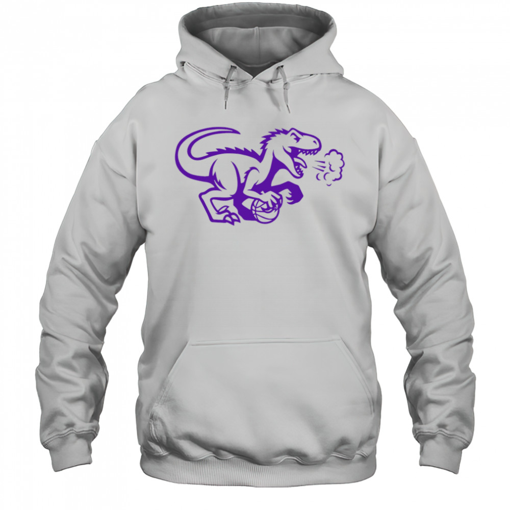 Toronto Raptors logo cute shirt Hoodie