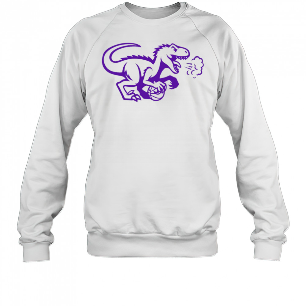 Toronto Raptors logo cute shirt Sweatshirt