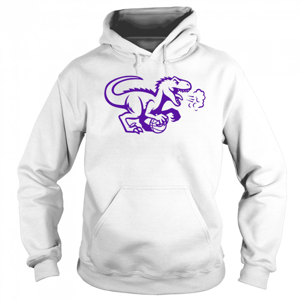 Toronto Raptors logo cute shirt Sweatshirt