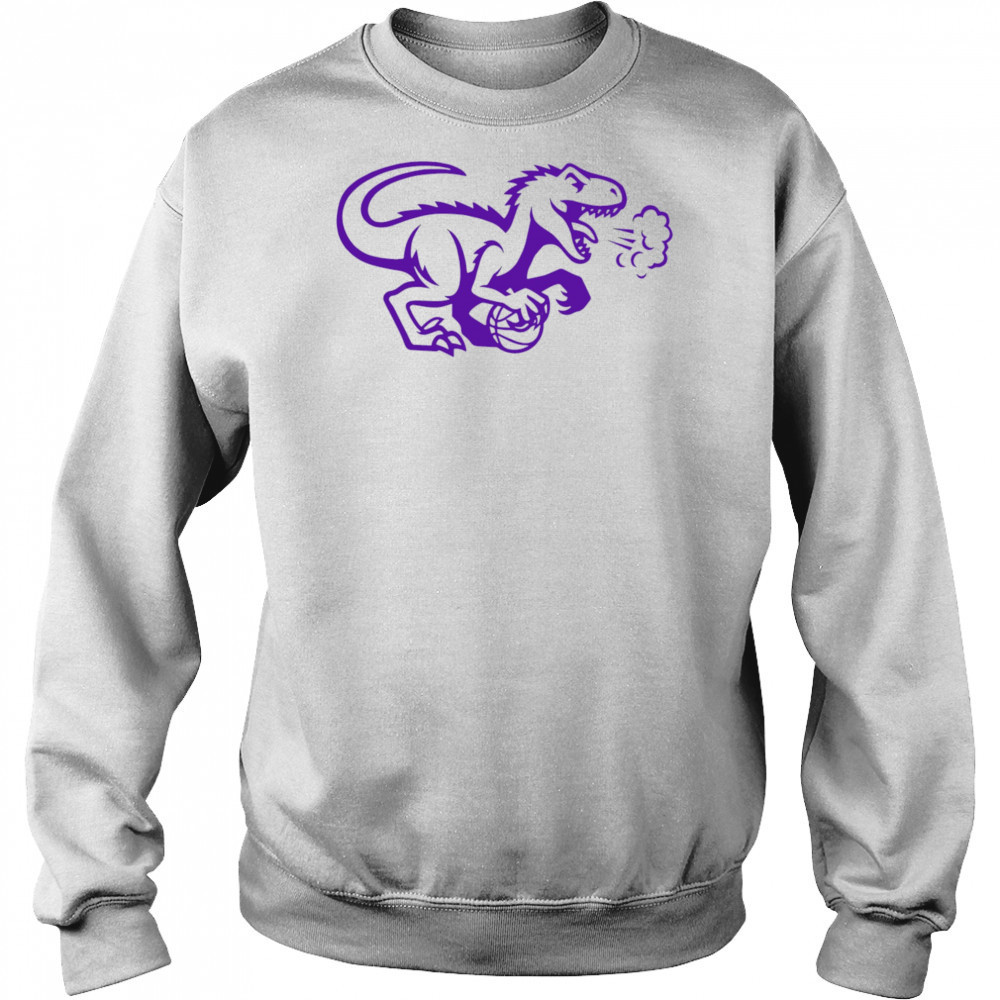 Toronto Raptors logo cute shirt Hoodie