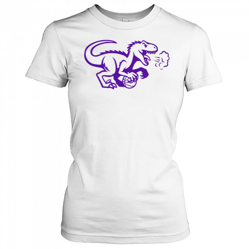 Toronto Raptors logo cute shirt Women's T-shirt