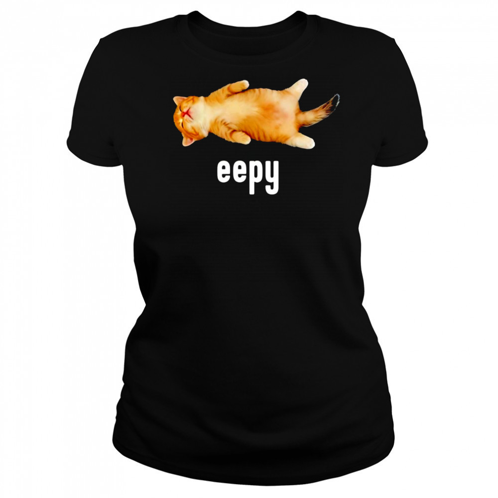 Cat sleeping eepy shirt Women's T-shirt