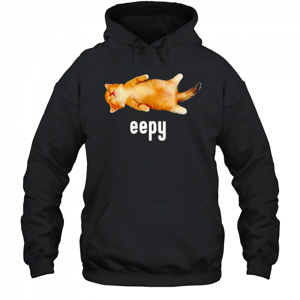 Cat sleeping eepy shirt Hoodie