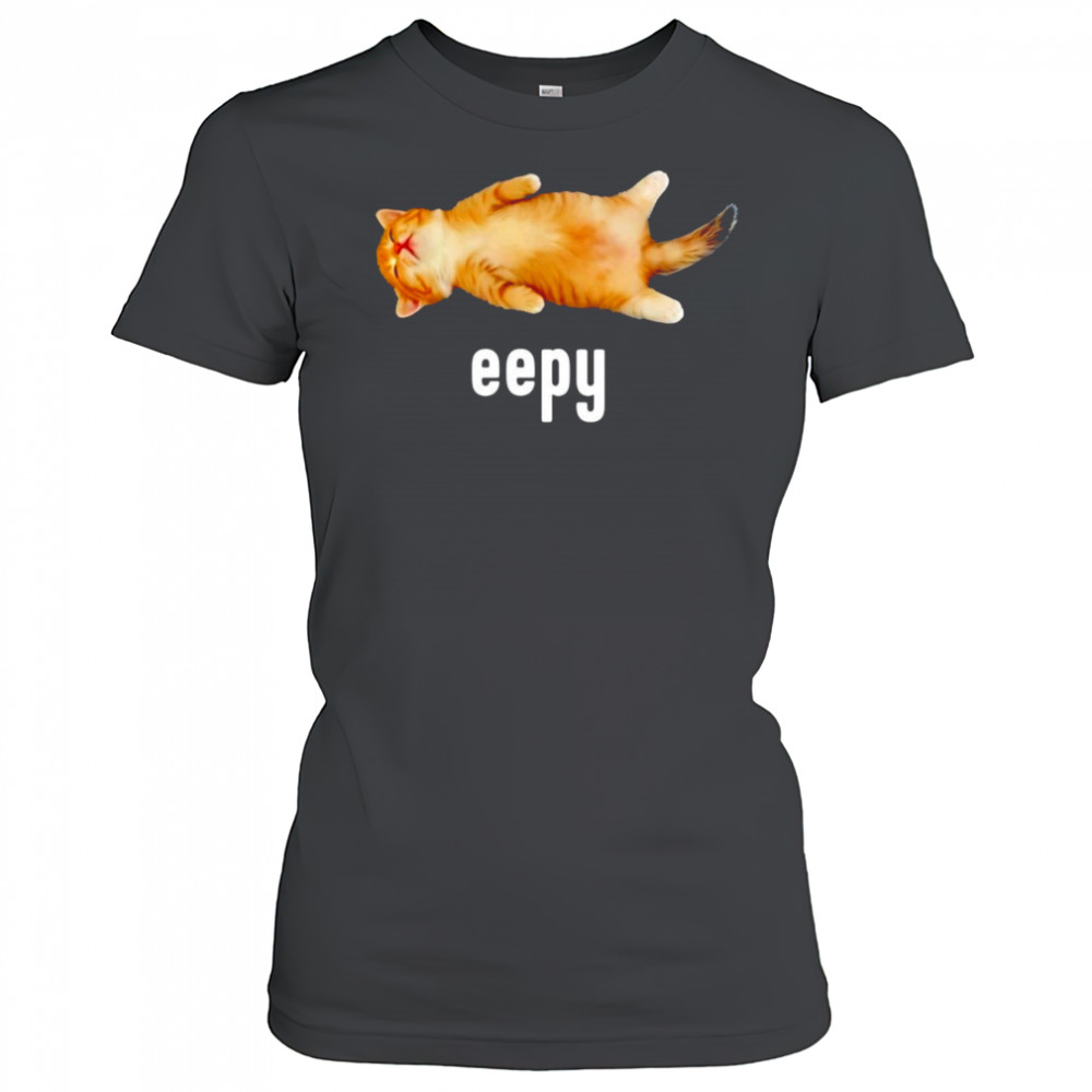 Cat sleeping eepy shirt Women's T-shirt