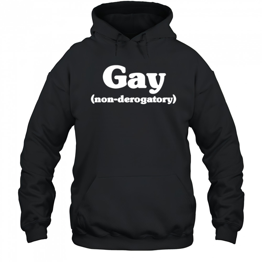 Gay non derogatory shirt Hoodie