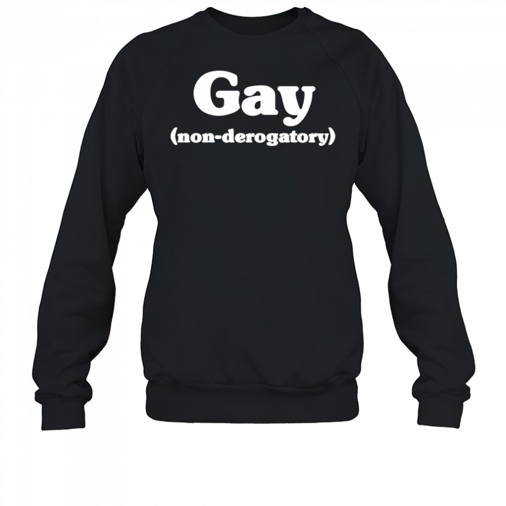 Gay non derogatory shirt Sweatshirt