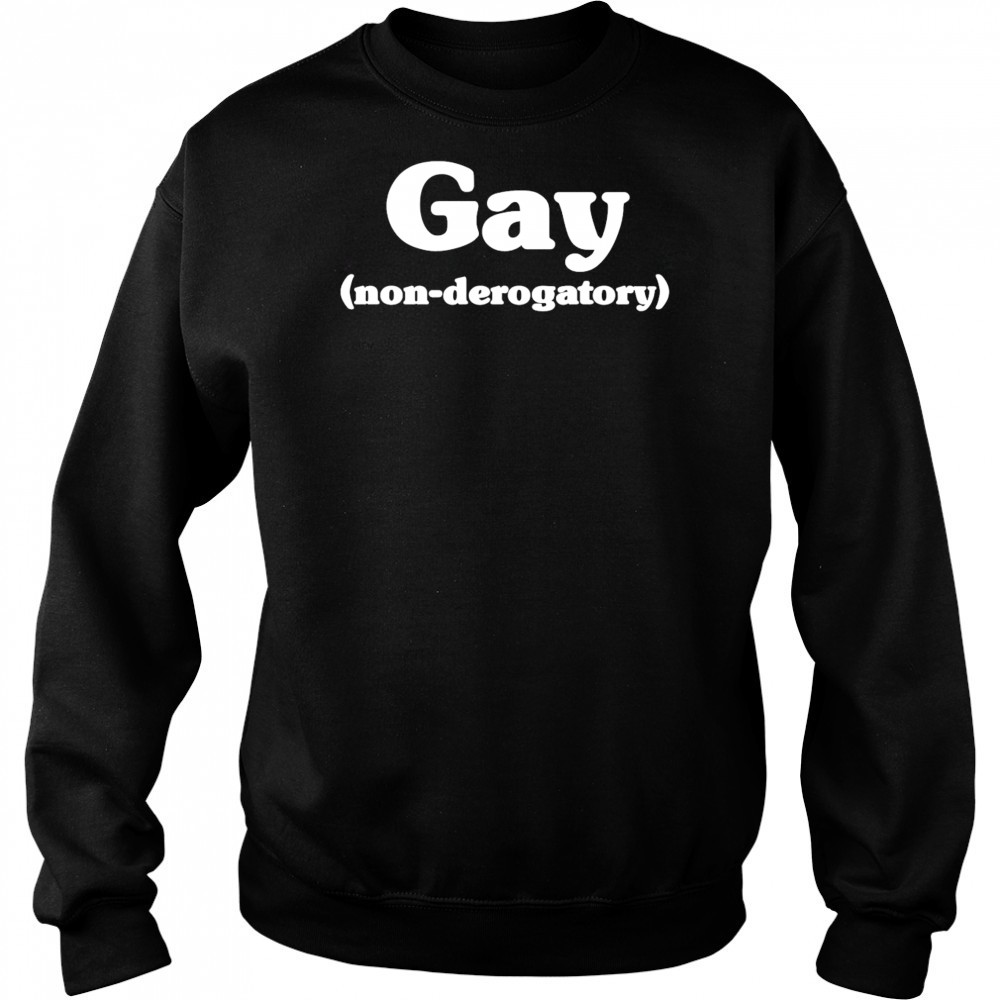 Gay non derogatory shirt Hoodie