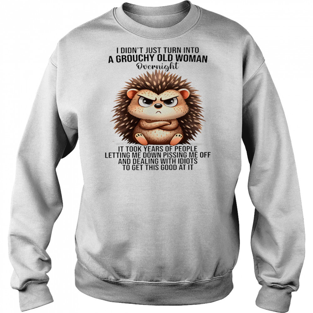 Hedgehog I didn’t just turn into a grouchy old woman overnight it took years of people letting me down shirt Hoodie