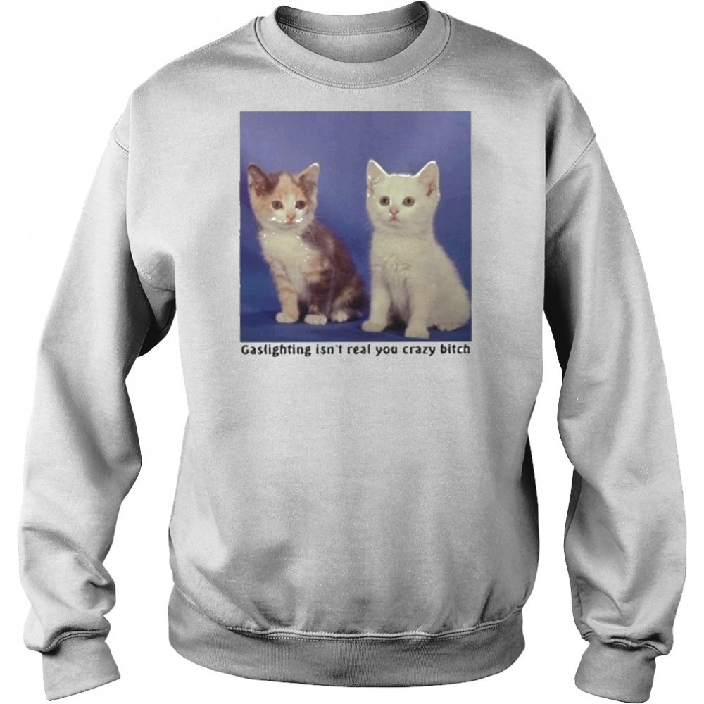 Gaslighting Isnt Real You Crazy Bitch Cat Shirt Hoodie