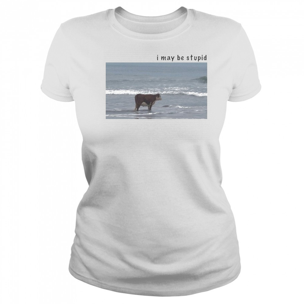 I May Be Stupid Cow T-shirt Women's T-shirt