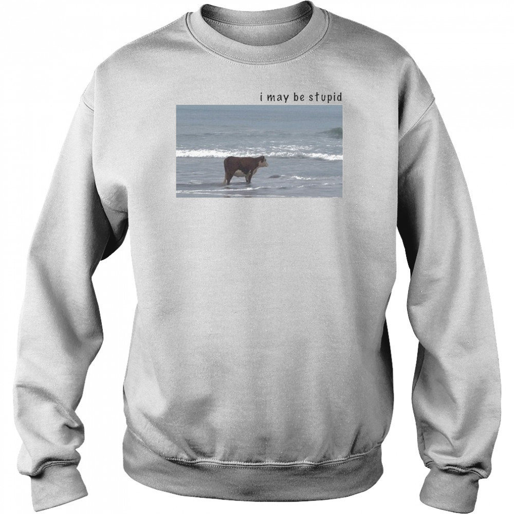 I May Be Stupid Cow T-shirt Hoodie