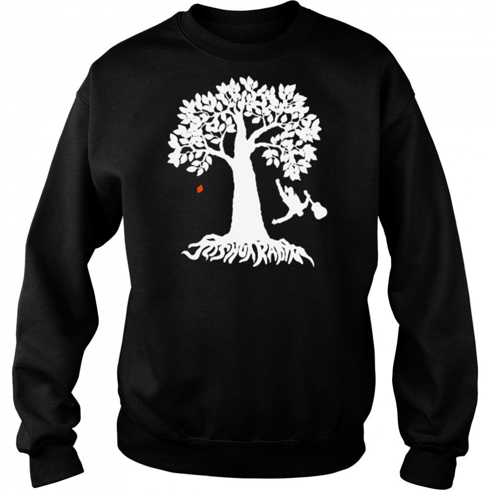 Joshua Radin The Fall T-shirt Hoodie