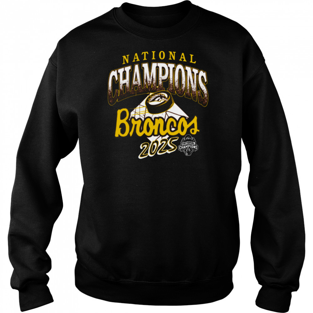 Western Michigan Broncos Brown 2025 National Men’s Hockey Champions T Shirt Hoodie
