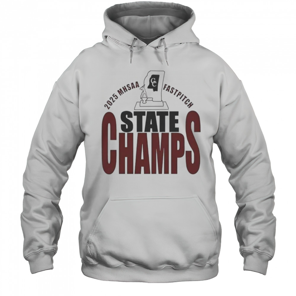 2025 MHSAA Fastpitch State Champs T-Shirt Hoodie