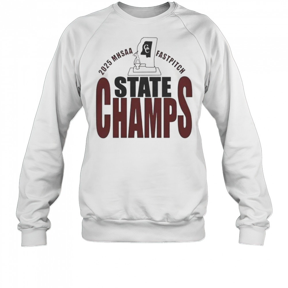 2025 MHSAA Fastpitch State Champs T-Shirt Sweatshirt