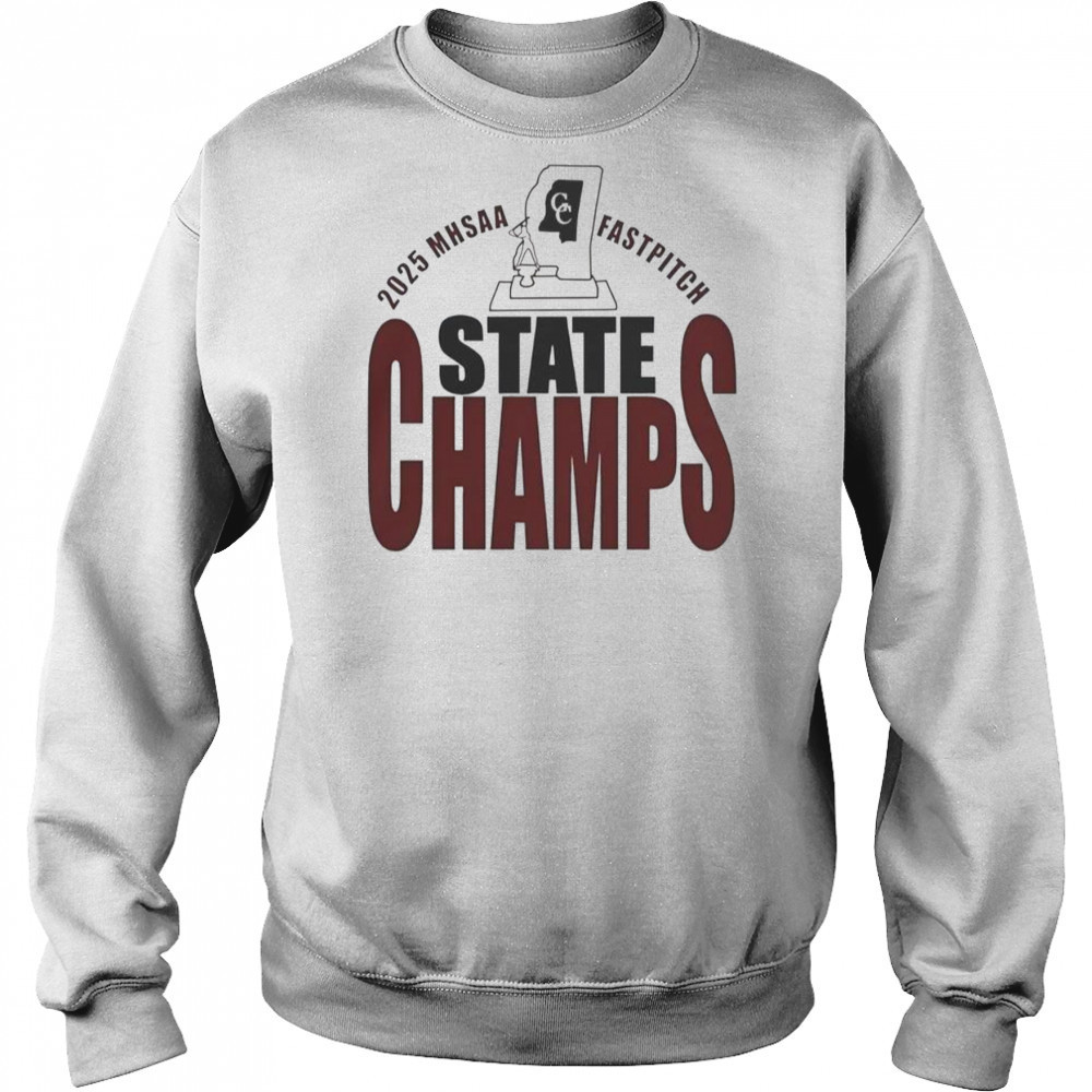 2025 MHSAA Fastpitch State Champs T-Shirt Hoodie