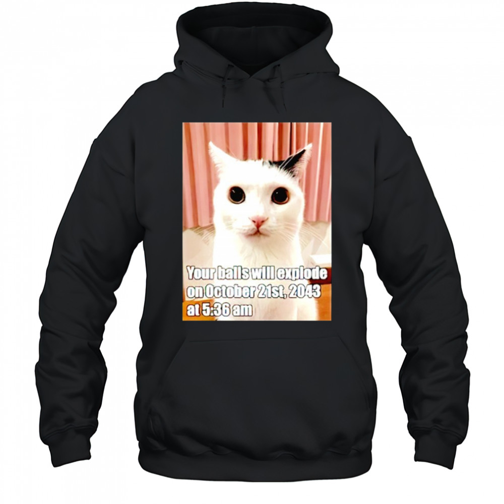 Cat your balls will explode on october 21st 2043 shirt Hoodie