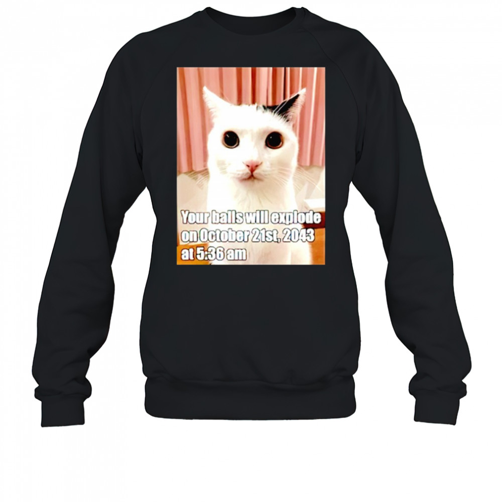 Cat your balls will explode on october 21st 2043 shirt Sweatshirt