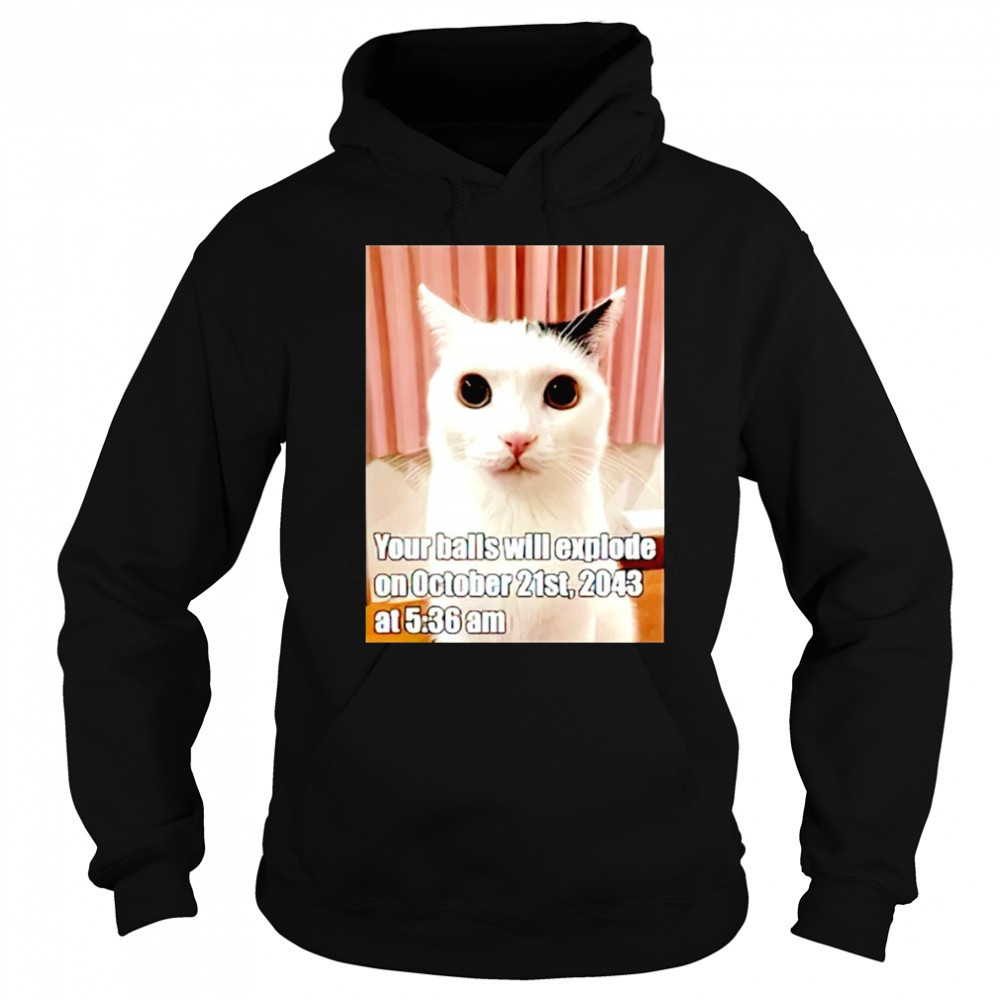 Cat your balls will explode on october 21st 2043 shirt Sweatshirt