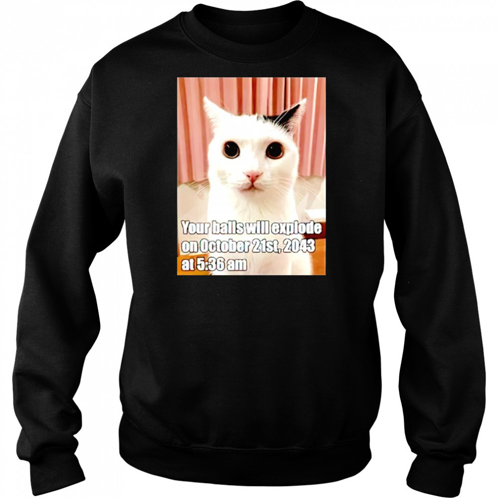 Cat your balls will explode on october 21st 2043 shirt Hoodie