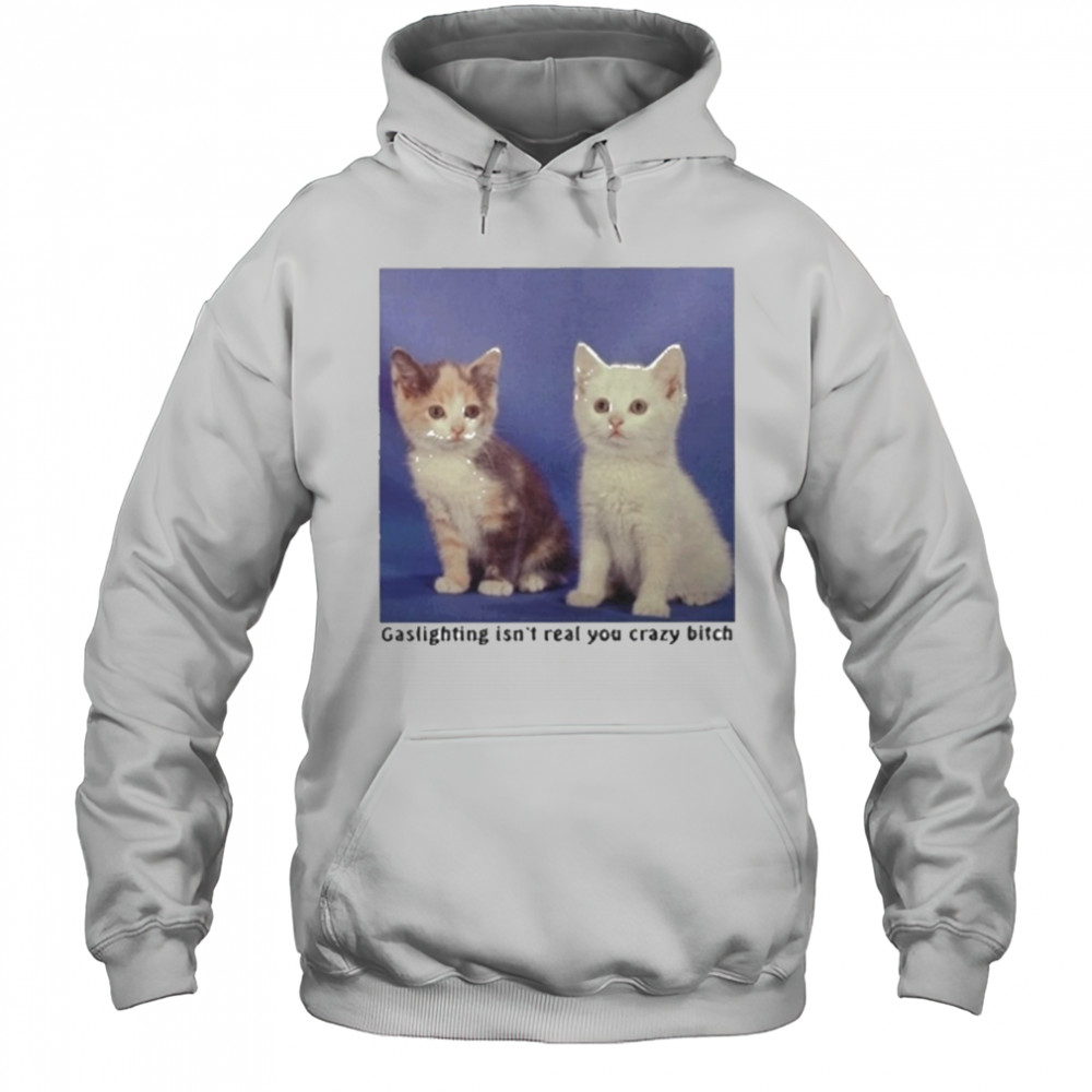Gaslighting Isnt Real You Crazy Bitch Cat Shirt Hoodie