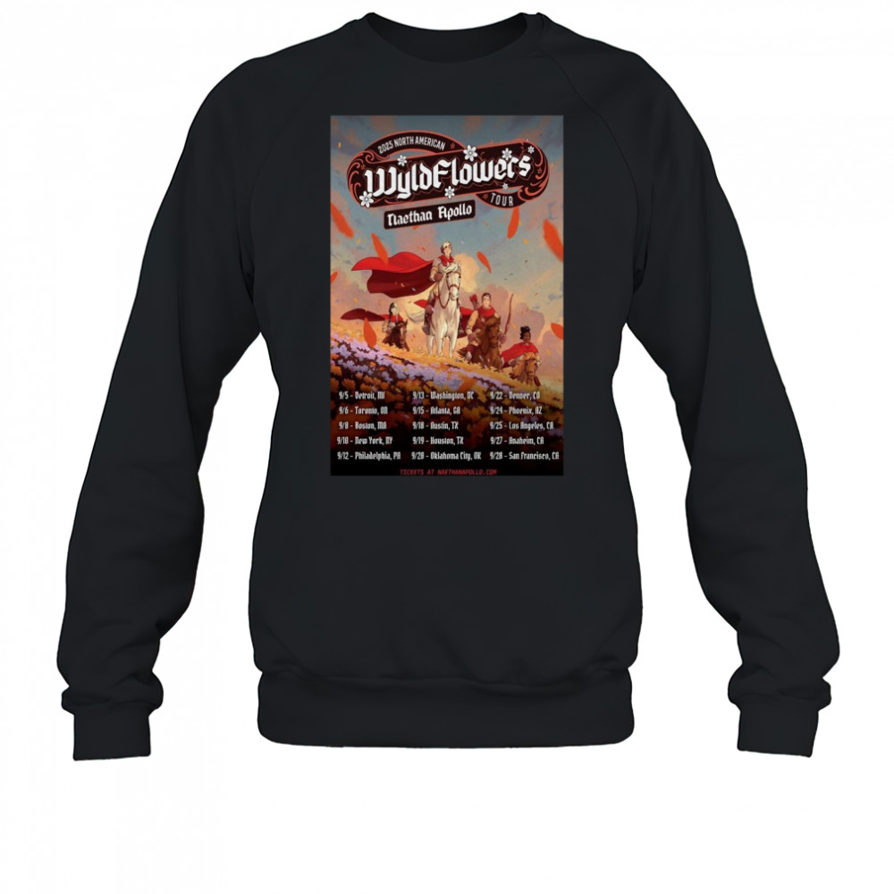 Tour Naethan Apollo 2025 Poster T-Shirt Sweatshirt