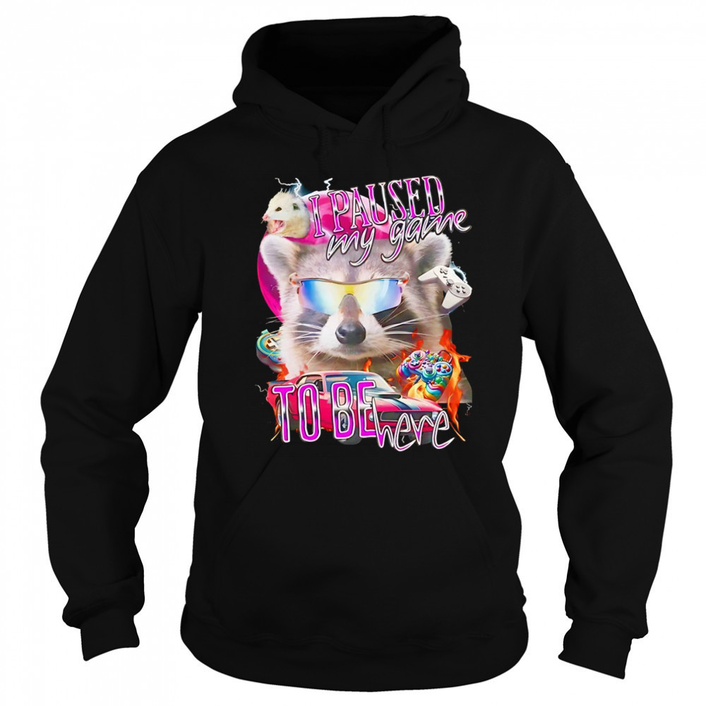 Raccoon wearing glass I paused my game to be here shirt Hoodie